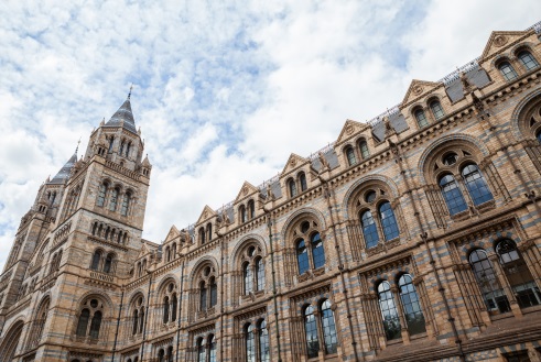 Museums near Sydney House Chelsea